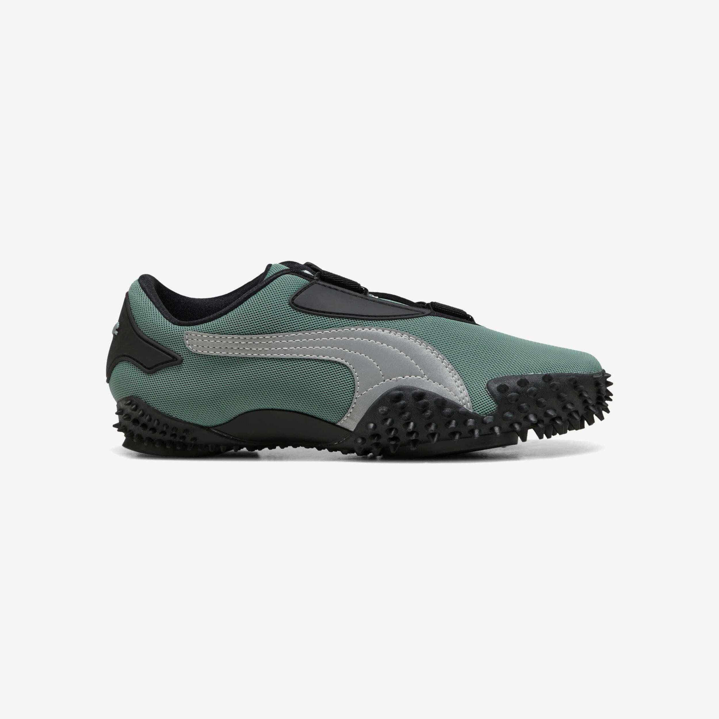 PUMA picture