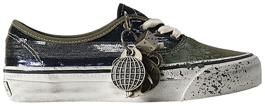 VANS picture