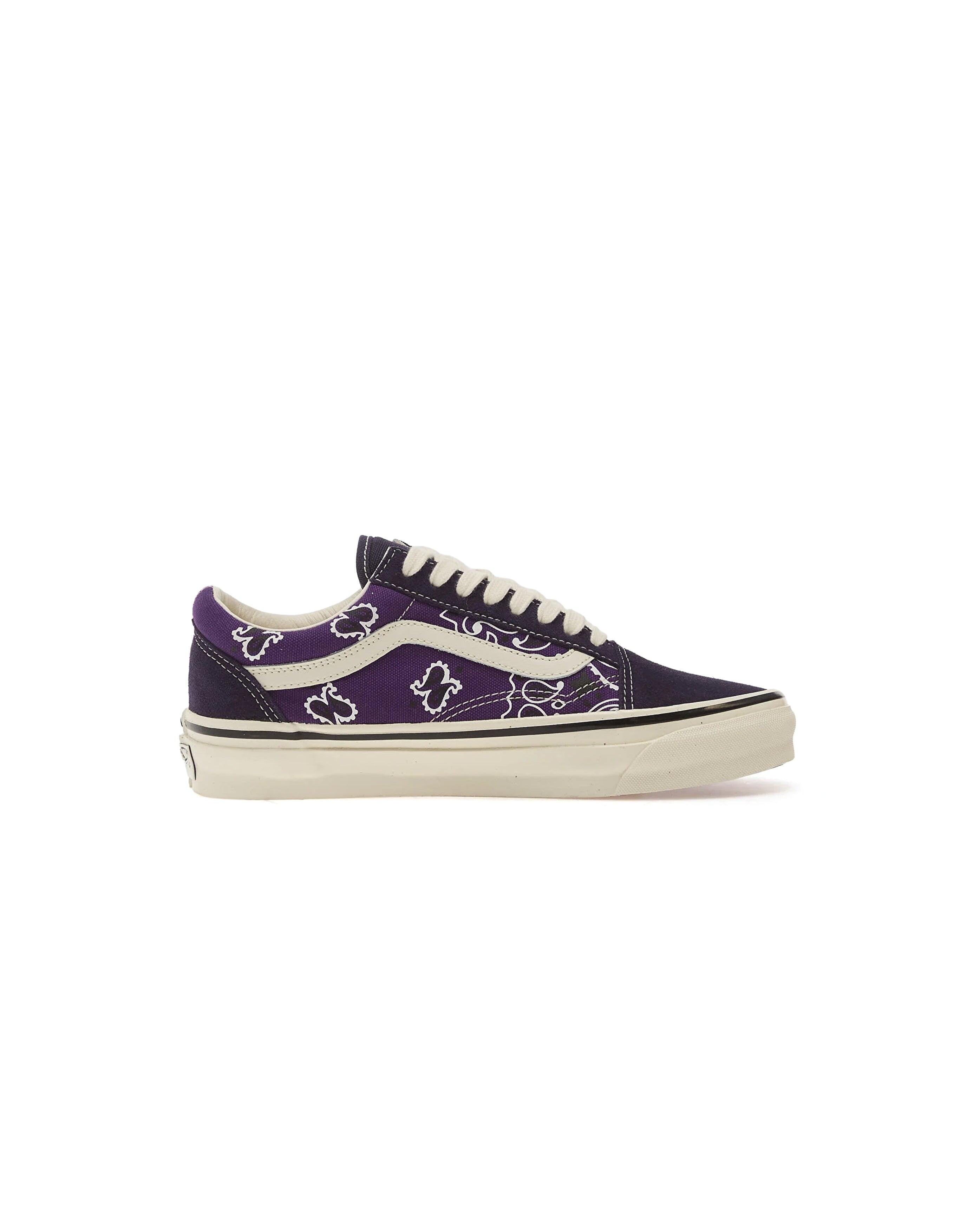 VANS picture
