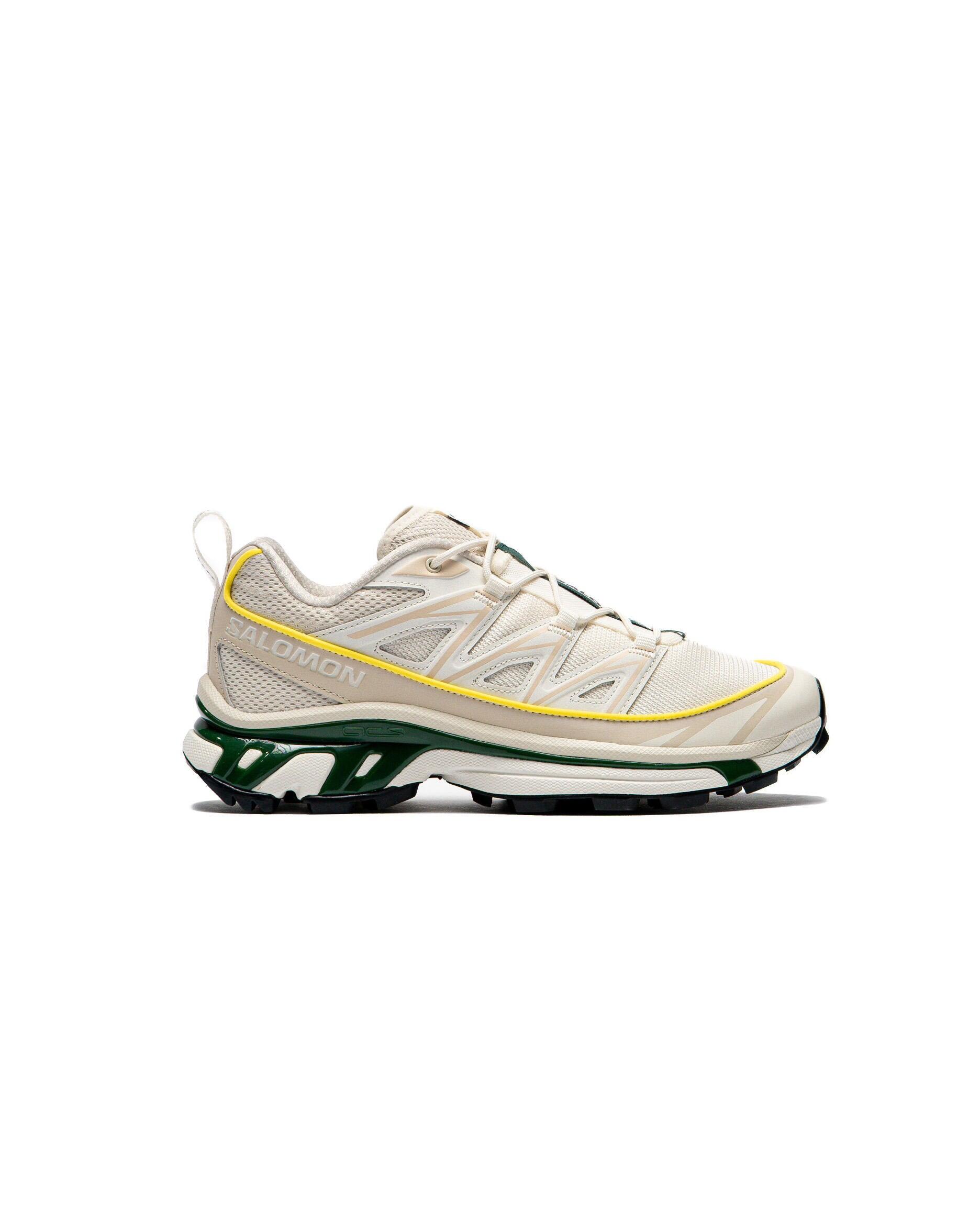 SALOMON picture