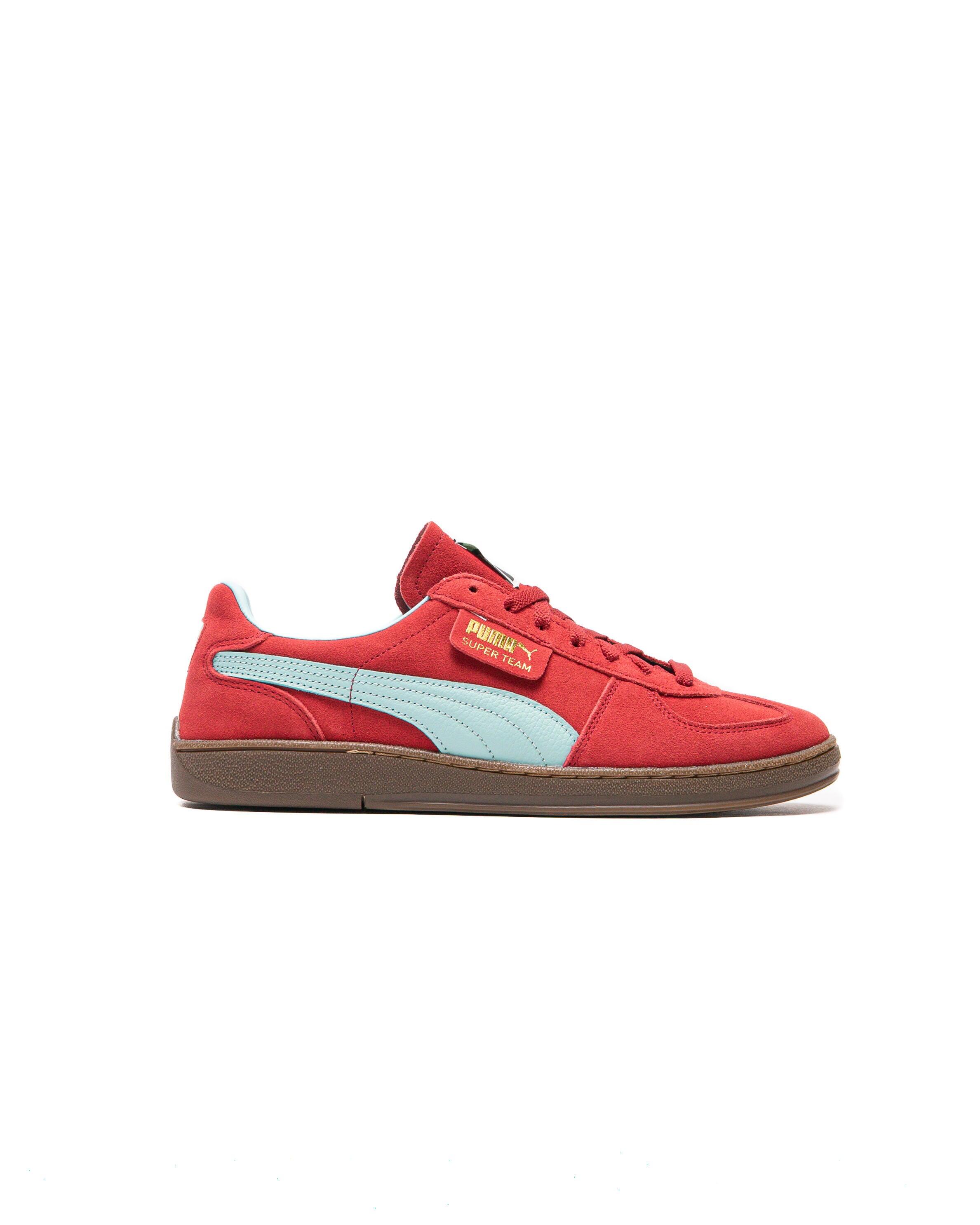 PUMA picture