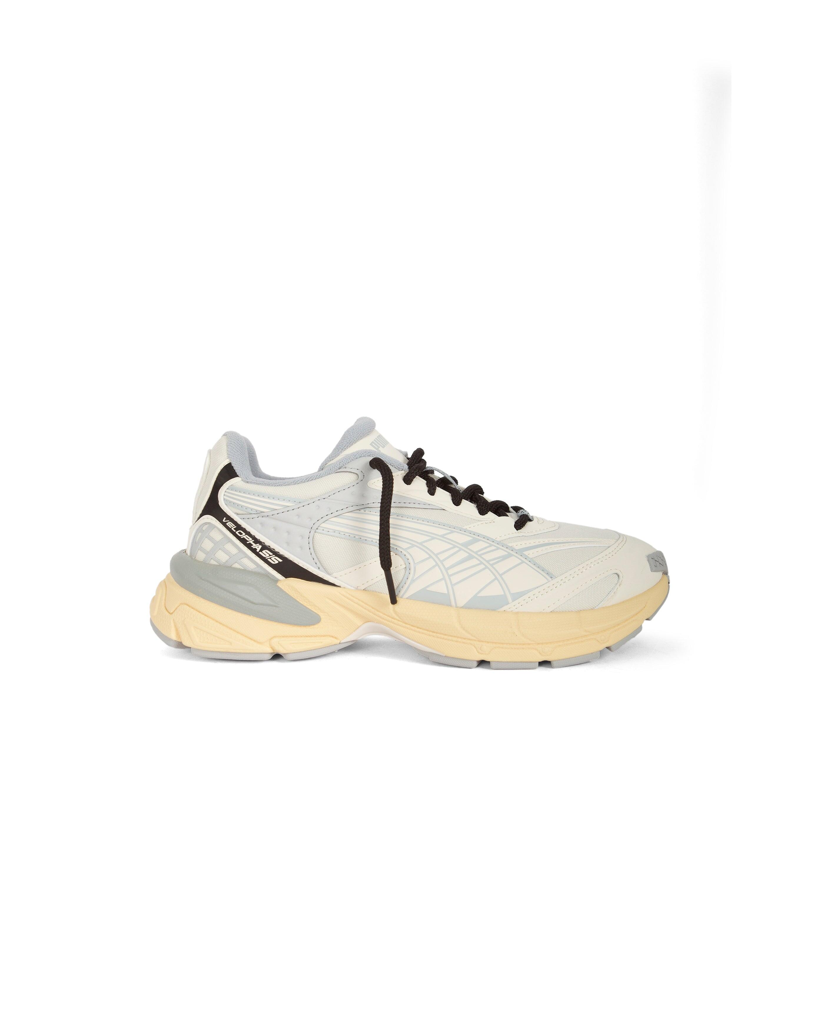 PUMA picture