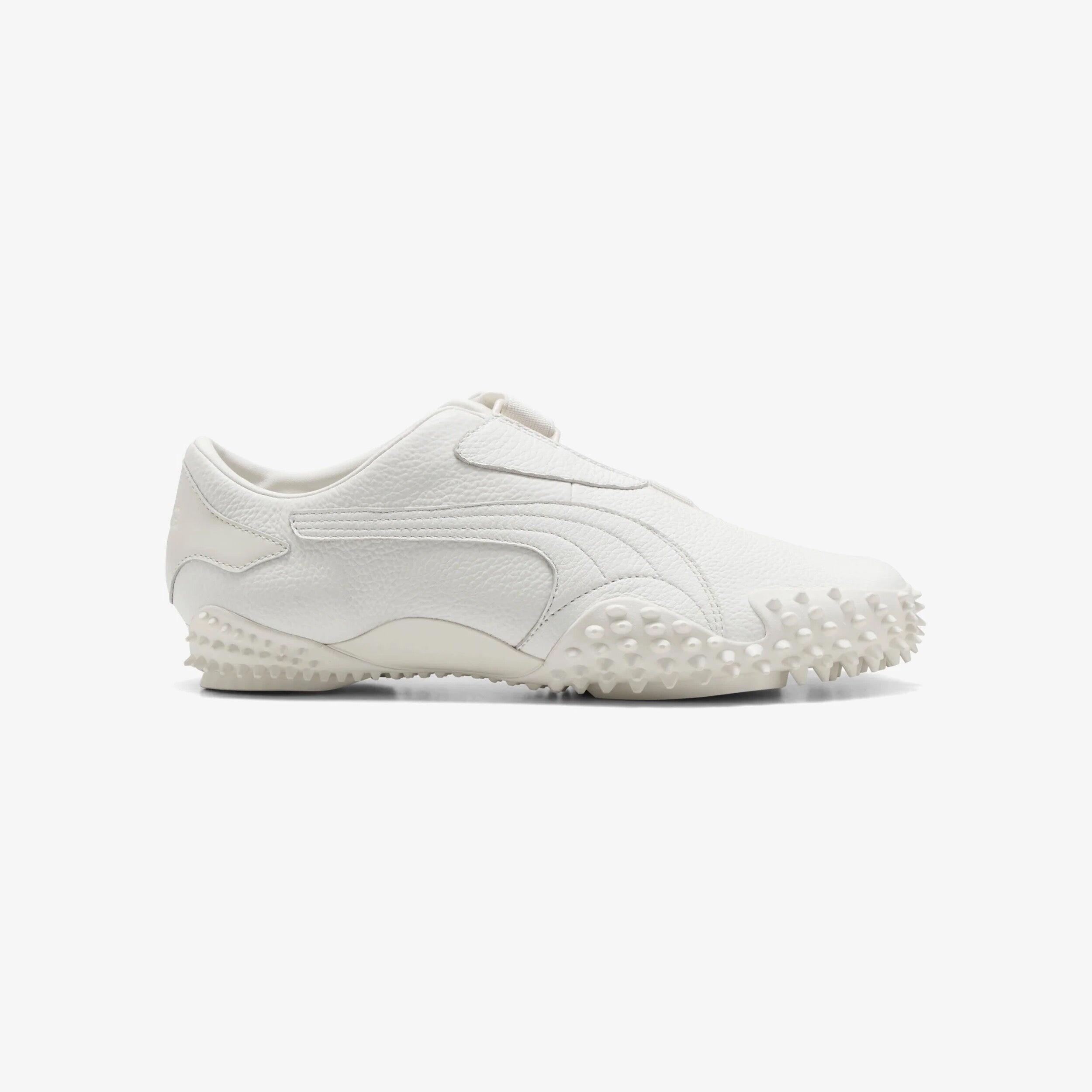 PUMA picture