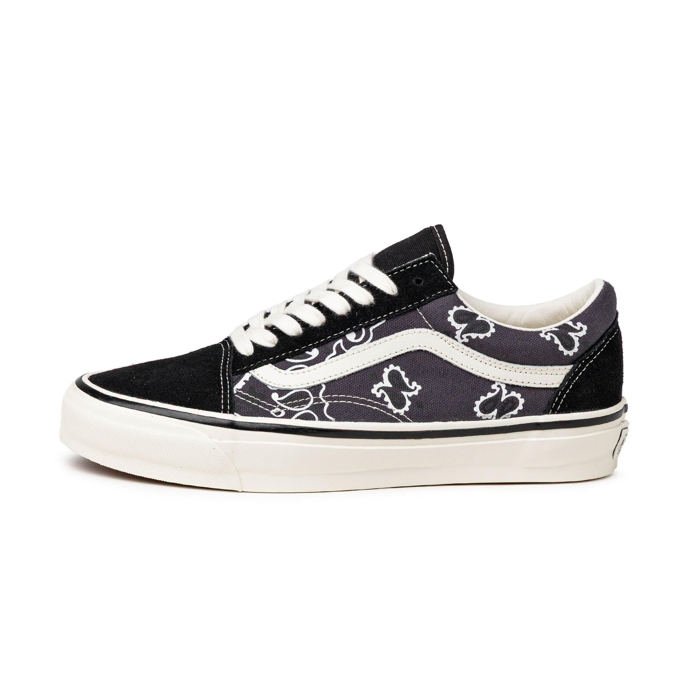 VANS picture