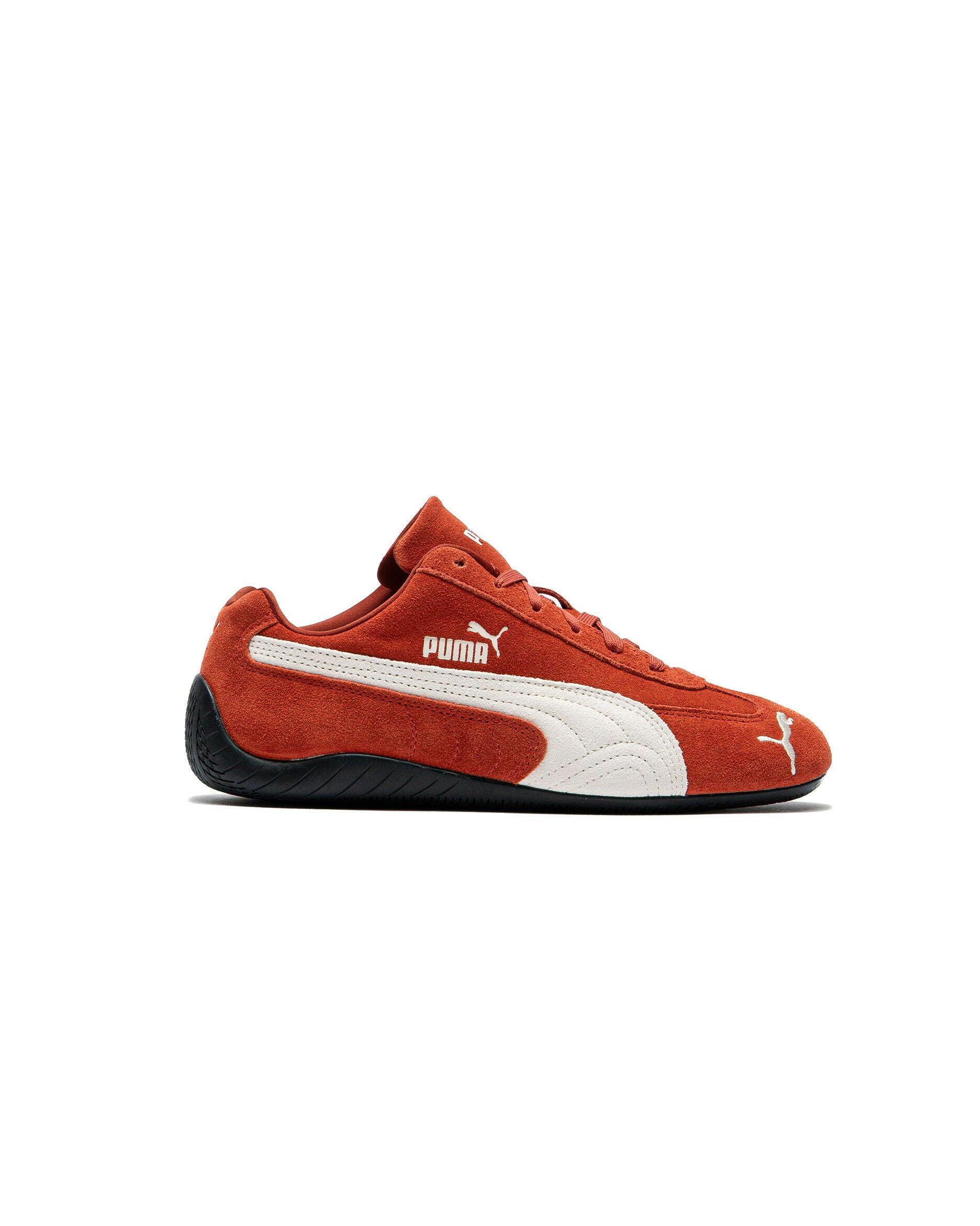 PUMA picture
