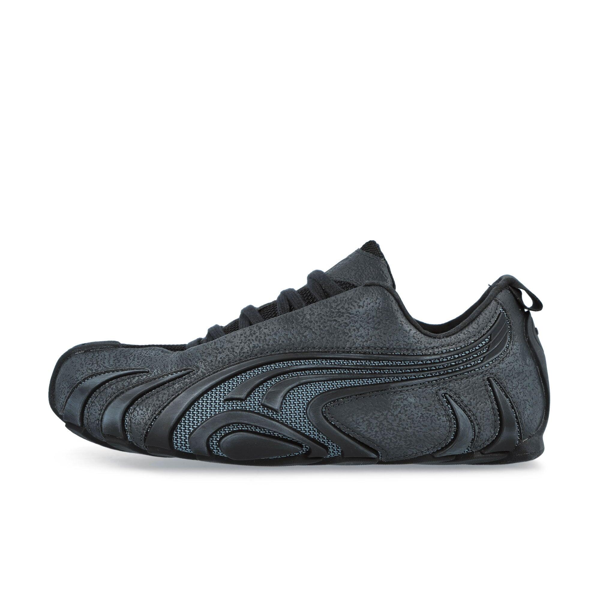 PUMA picture