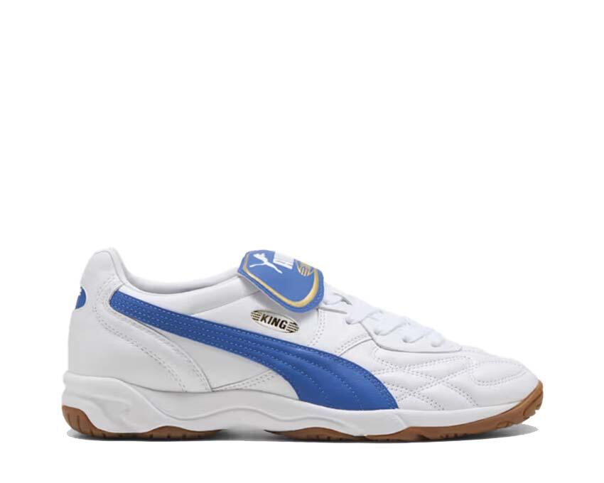 PUMA picture