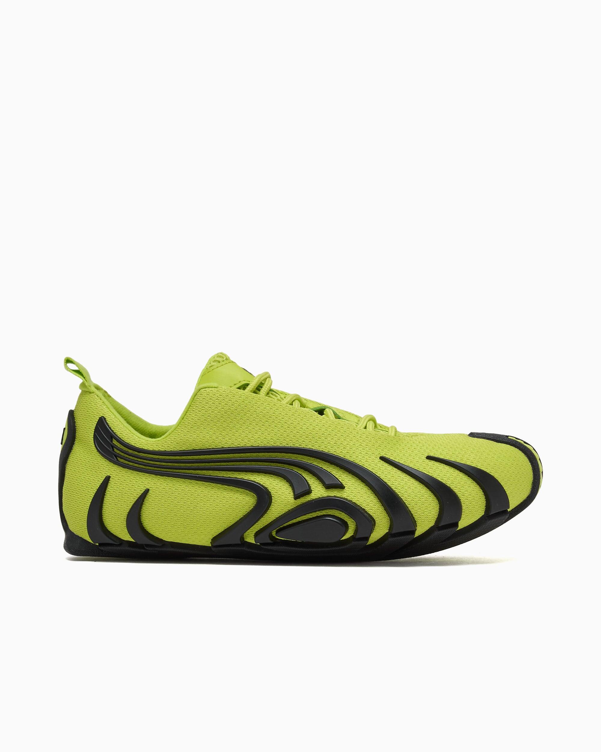 PUMA picture