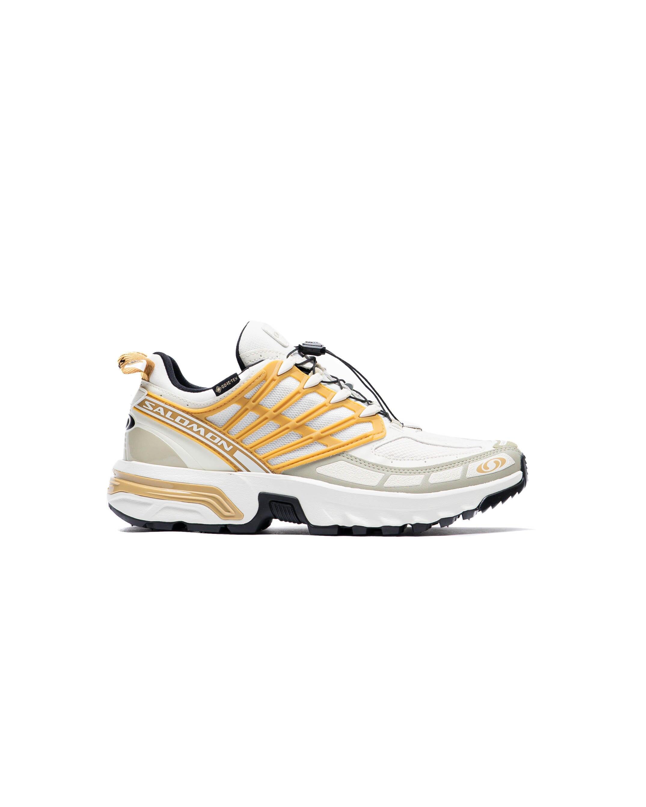 Salomon ACS PRO GORE-TEX Icicle Antelope Tea 1/1