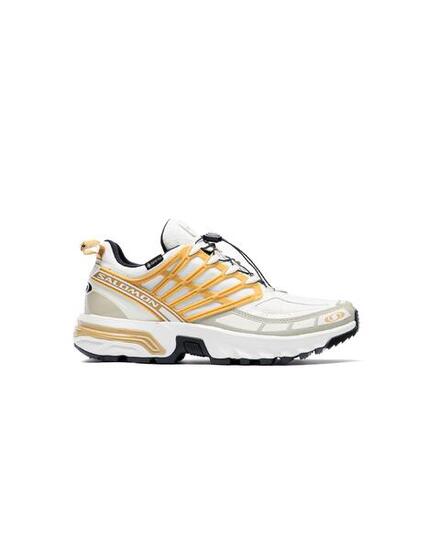 Salomon ACS PRO GORE-TEX Icicle Antelope Tea