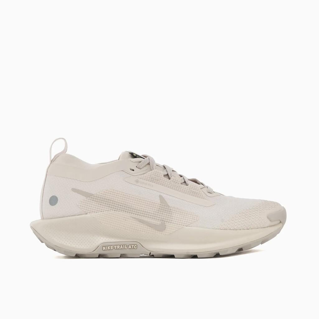 Nike Women's Pegasus Trail 5 Gore-Tex
