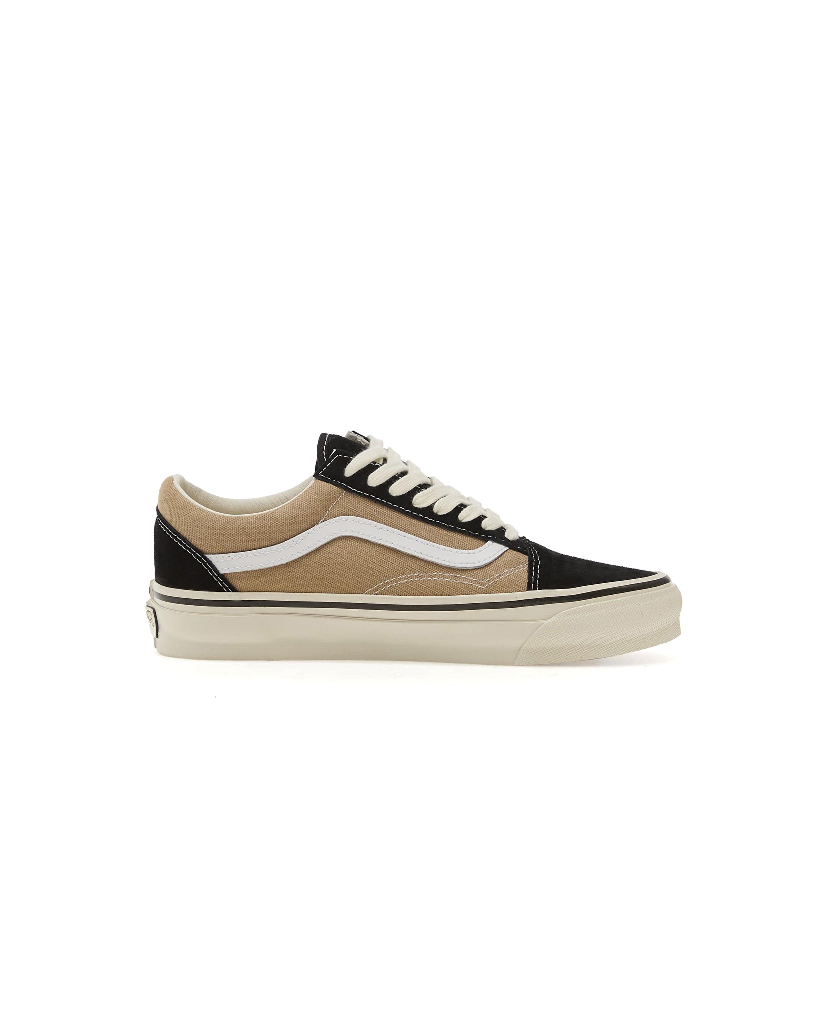 VANS picture