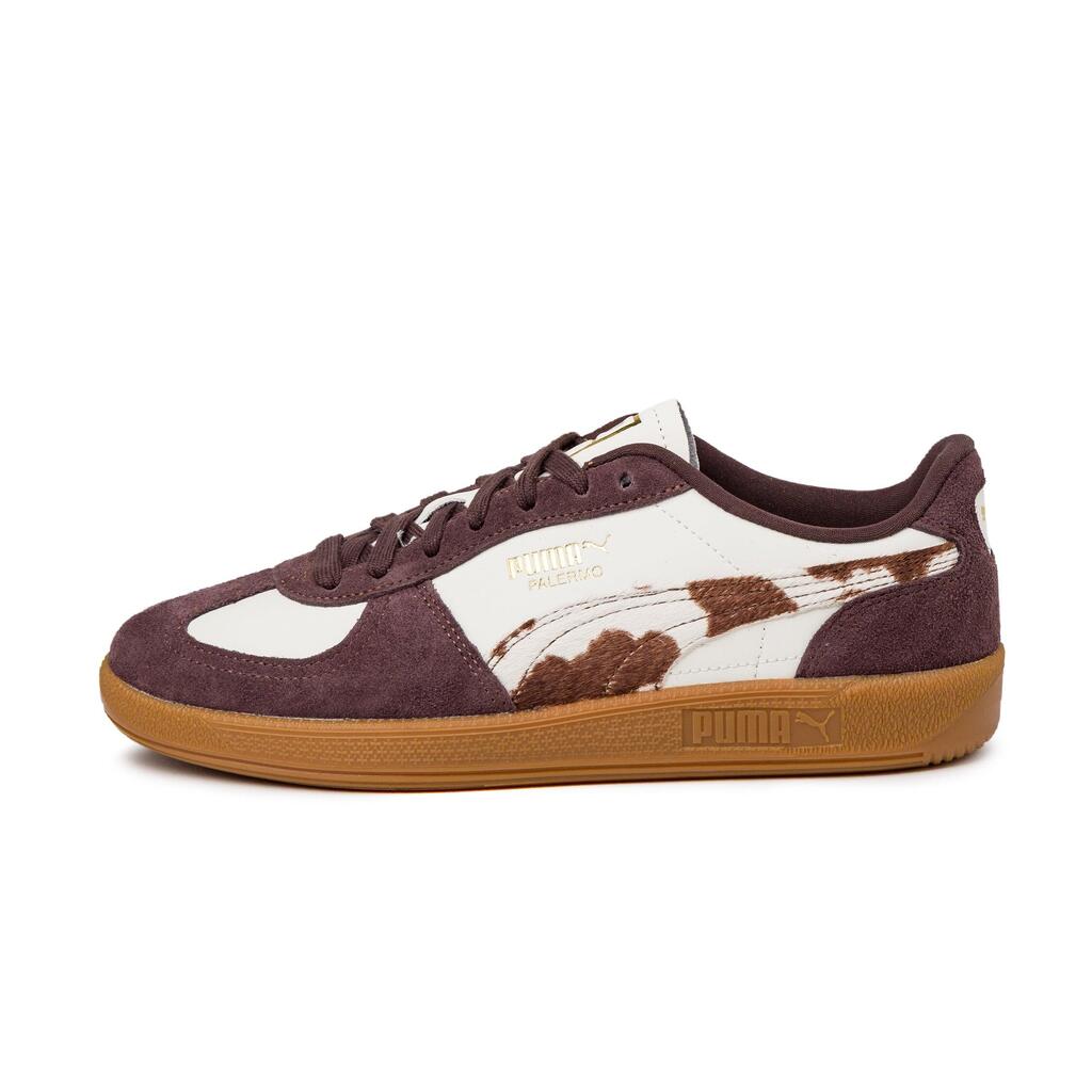 WHITE / BROWN