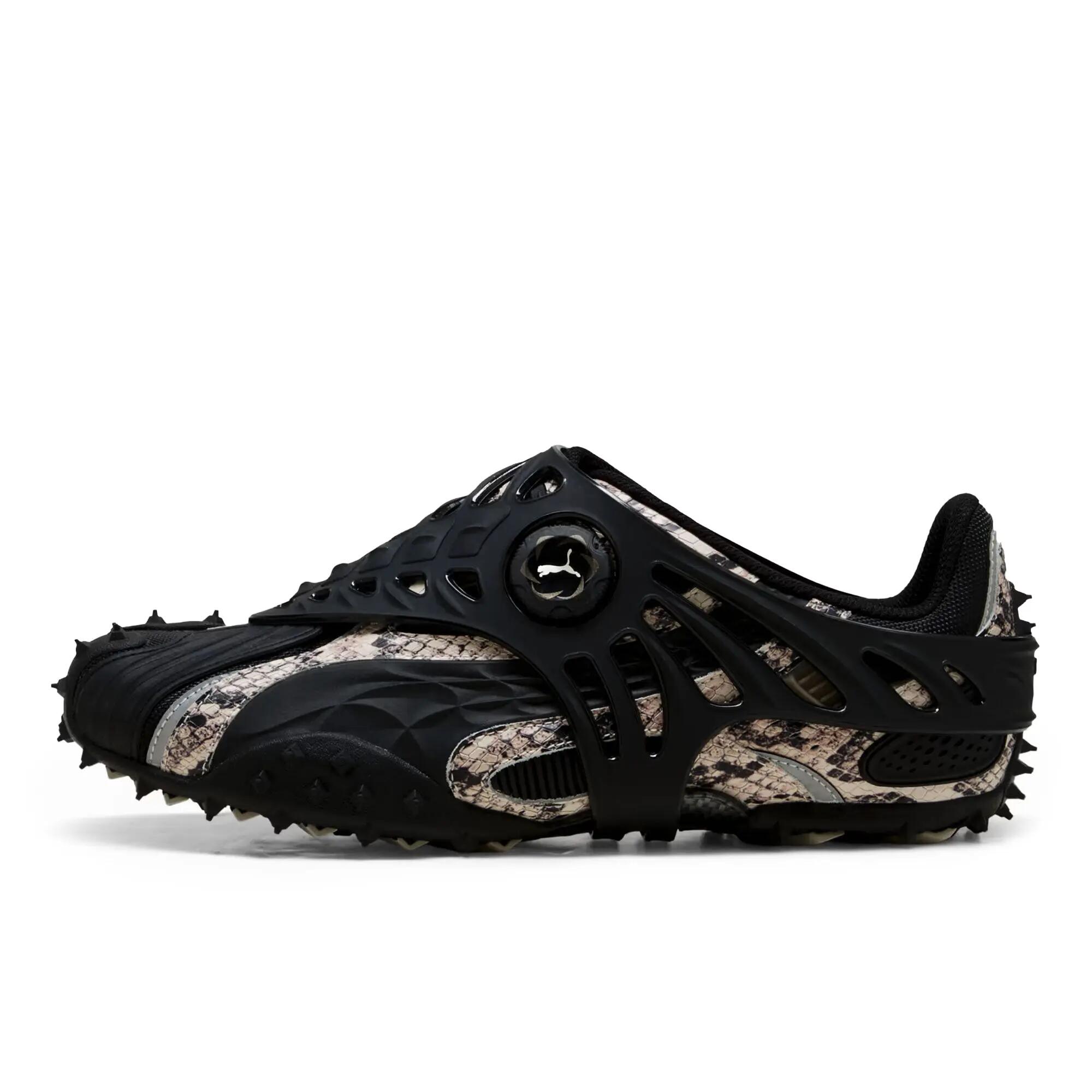 PUMA picture