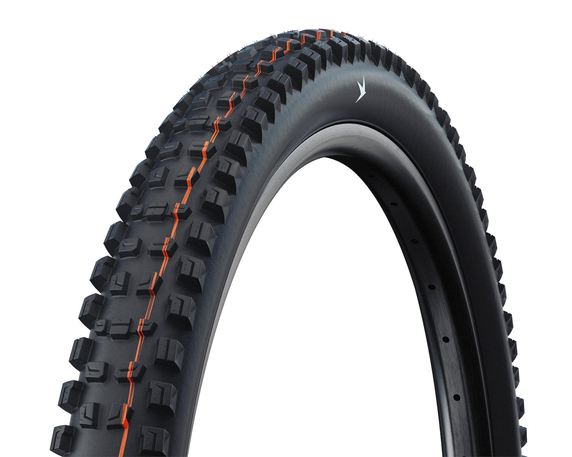 SCHWALBE picture