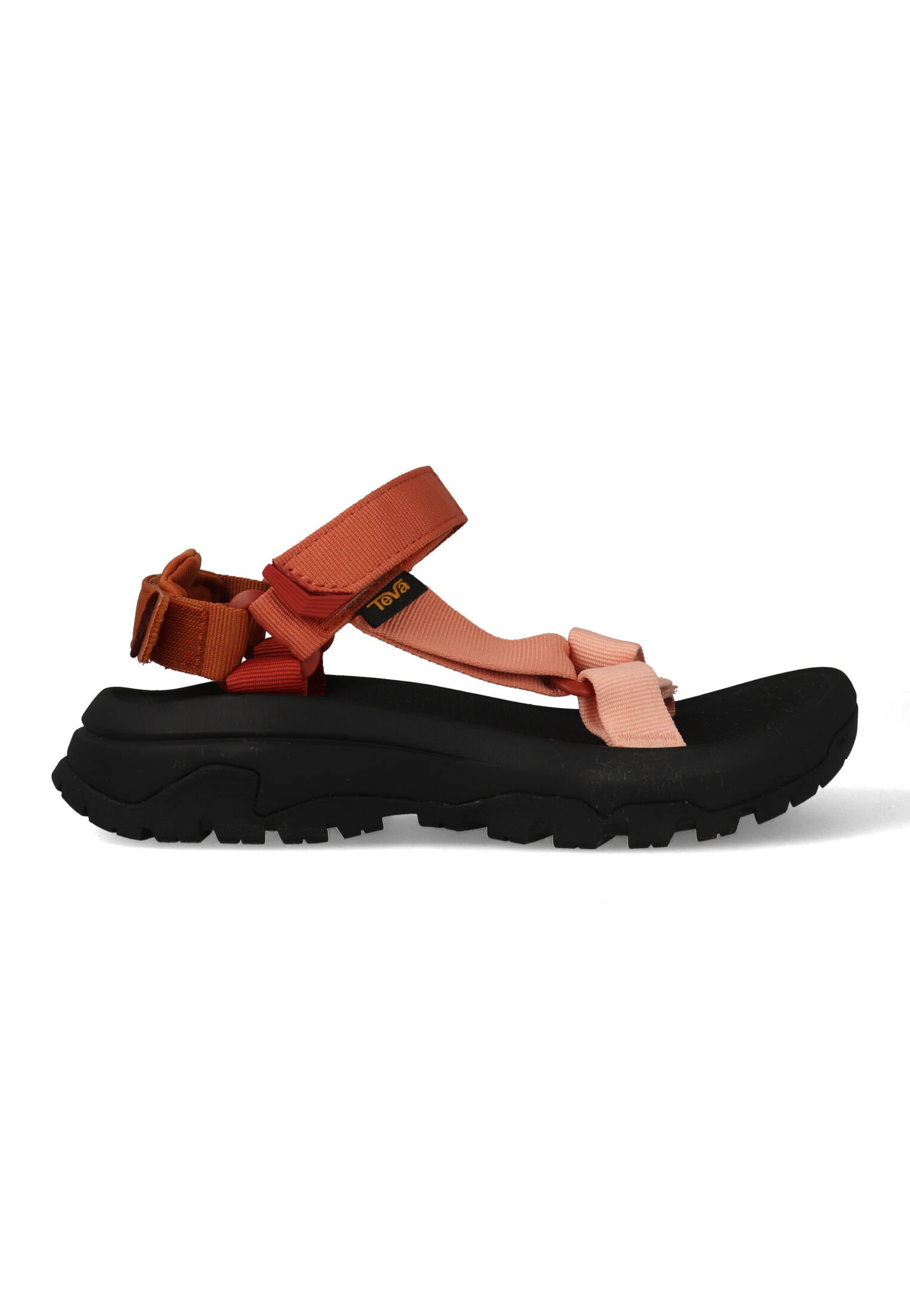 TEVA picture
