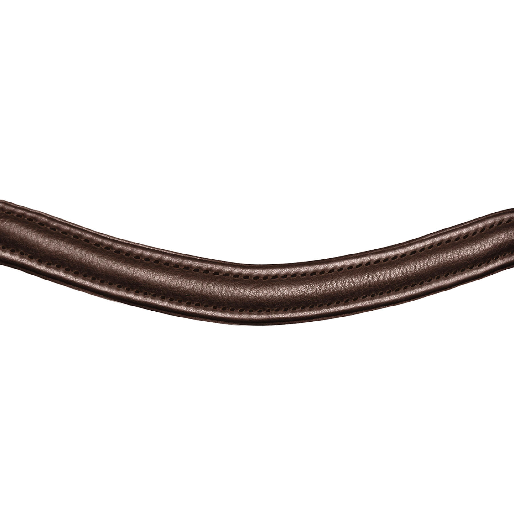 Bridas para caballos Waldhausen X-Line Hackamore 5/5