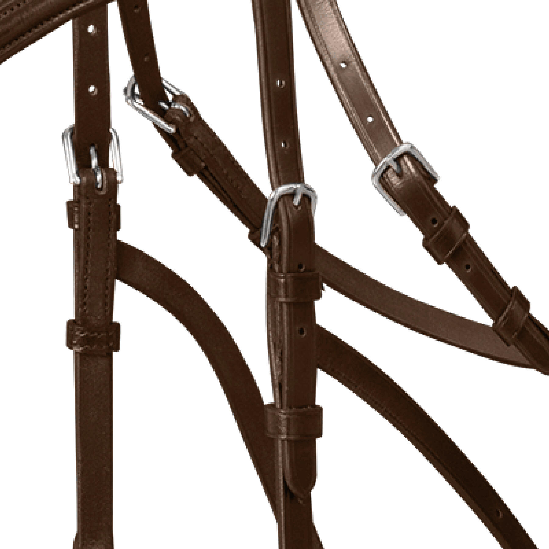 Bridas para caballos Waldhausen X-Line Hackamore 4/5