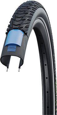 SCHWALBE picture