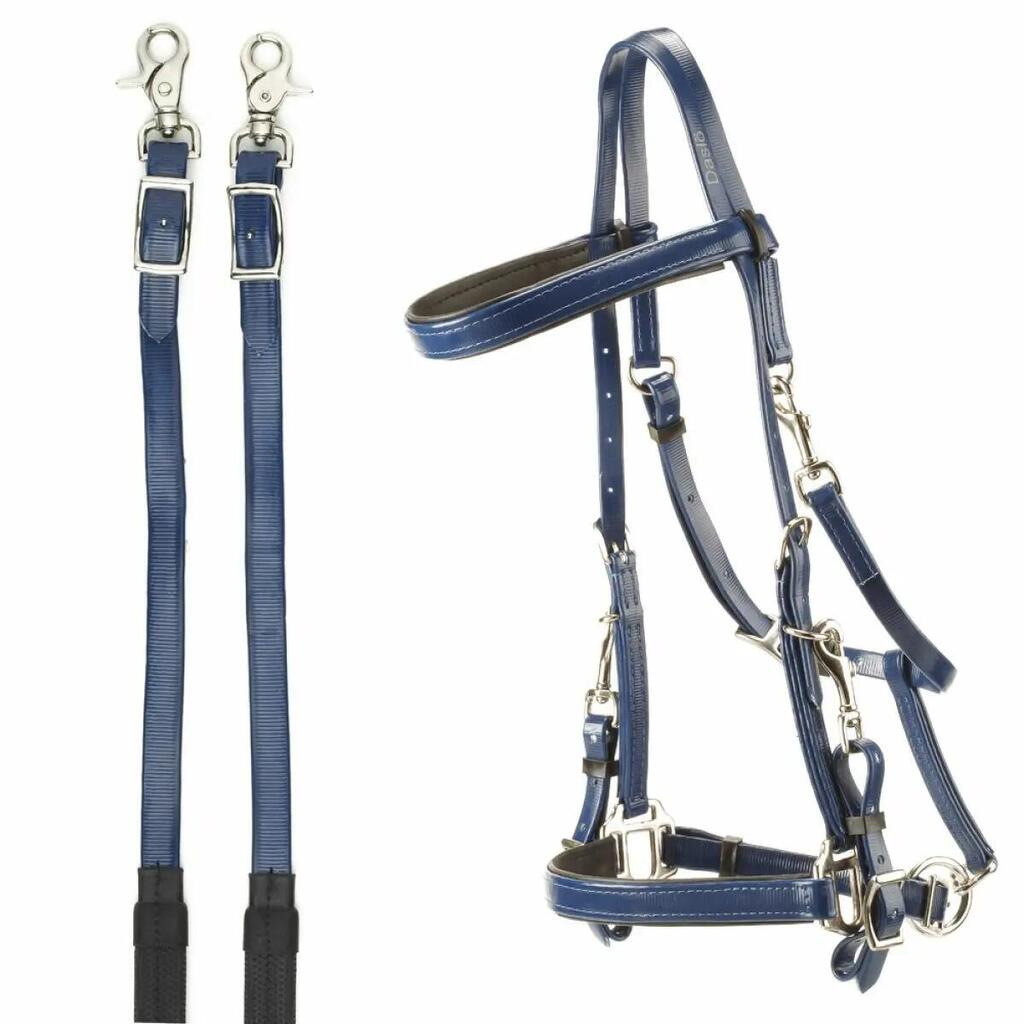 Horse bridles for endurance in pvc Daslö