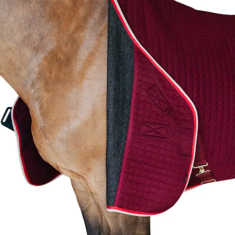 Cobertor de secagem para cavalos Kentucky Protherm 6/7