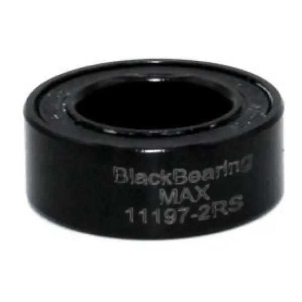 BLACK BEARING picture