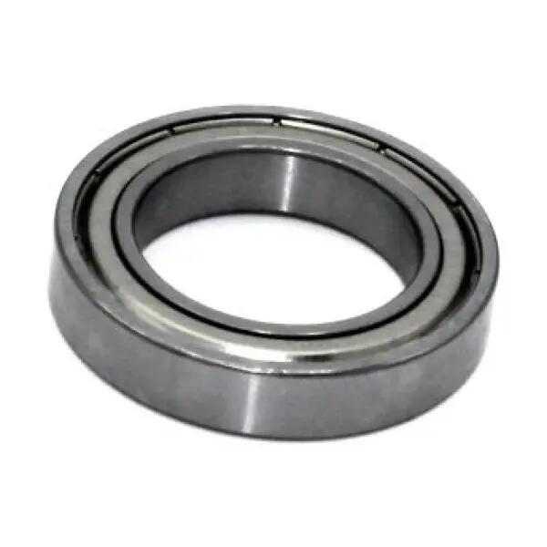 BLACK BEARING picture