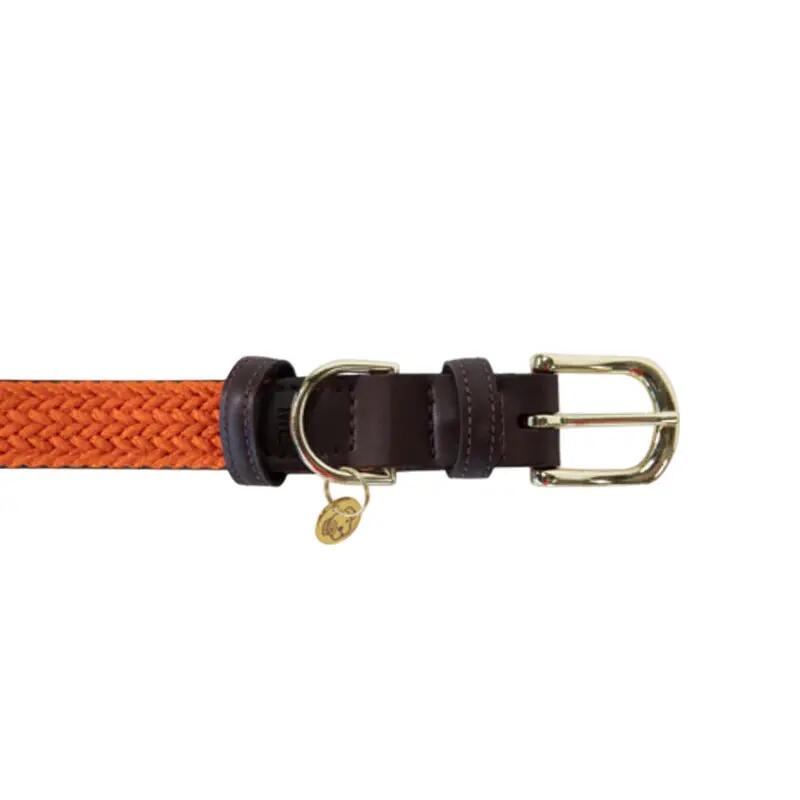 Collare per cane in nylon intrecciato Kentucky 2/2