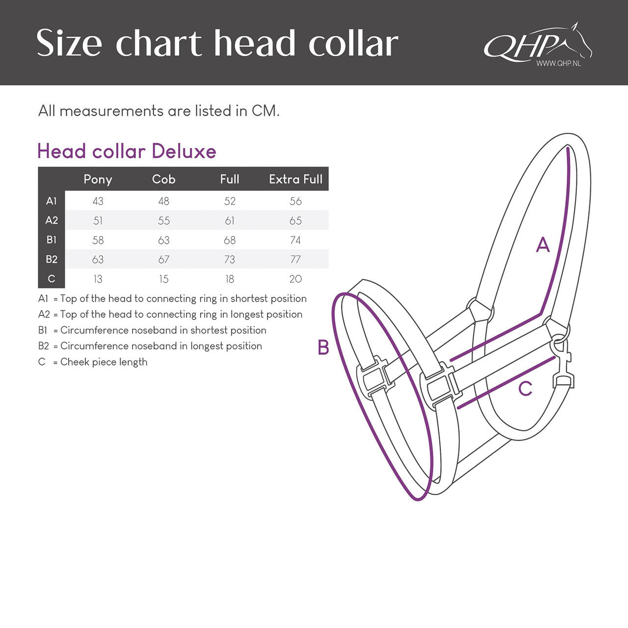 Licol pour cheval QHP Deluxe 3/4
