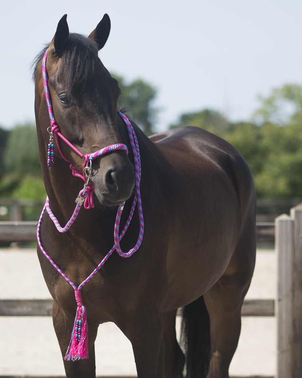 QHP Touwhalster & Neckrope Liberty - Fuchsia (Pony) 5/7