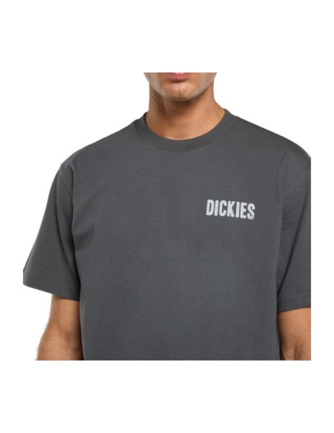 Maglietta da uomo Dickies Wolfhurst grigia. 3/4