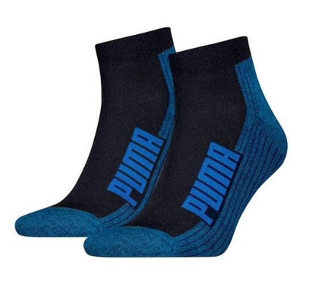 PUMA picture