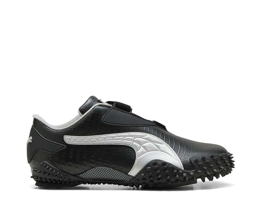 PUMA picture