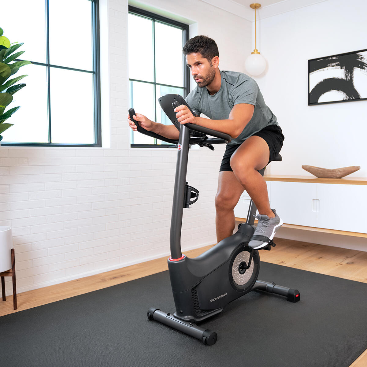 SCHWINN FITNESS picture