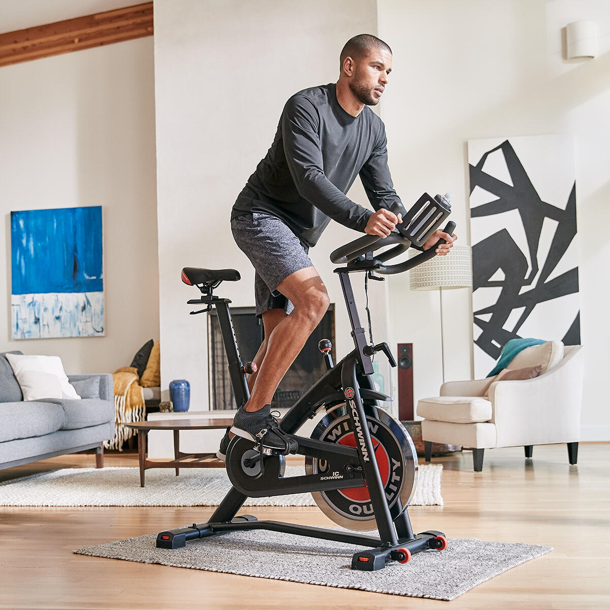 SCHWINN FITNESS picture