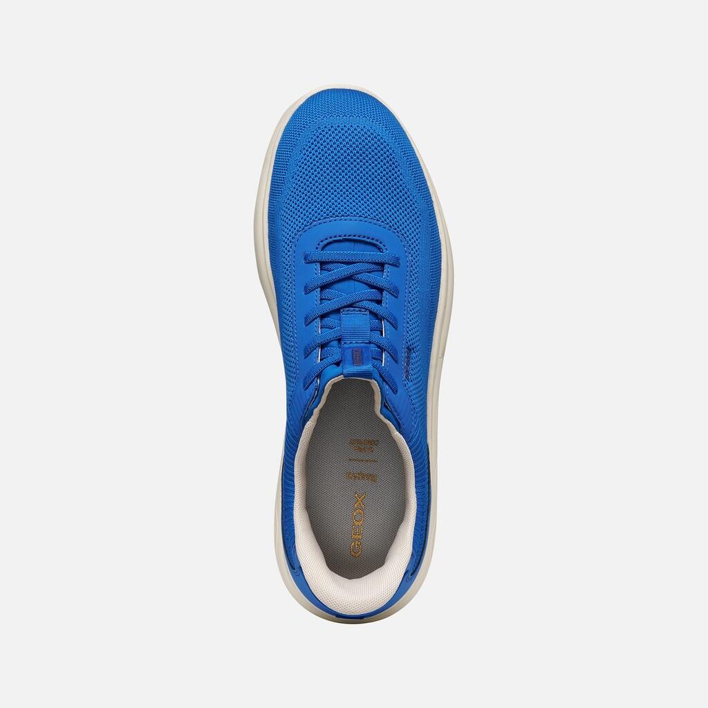 Baskets Homme SPHERICA PLUS MAN Bleu Roi 6/7