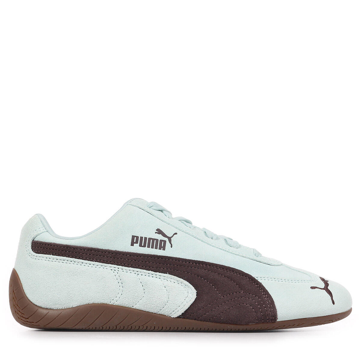 PUMA picture