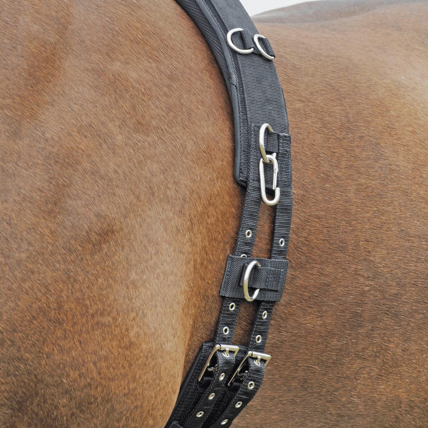 BUSSE LONGIERGURT PROFI-SOFT 3/3