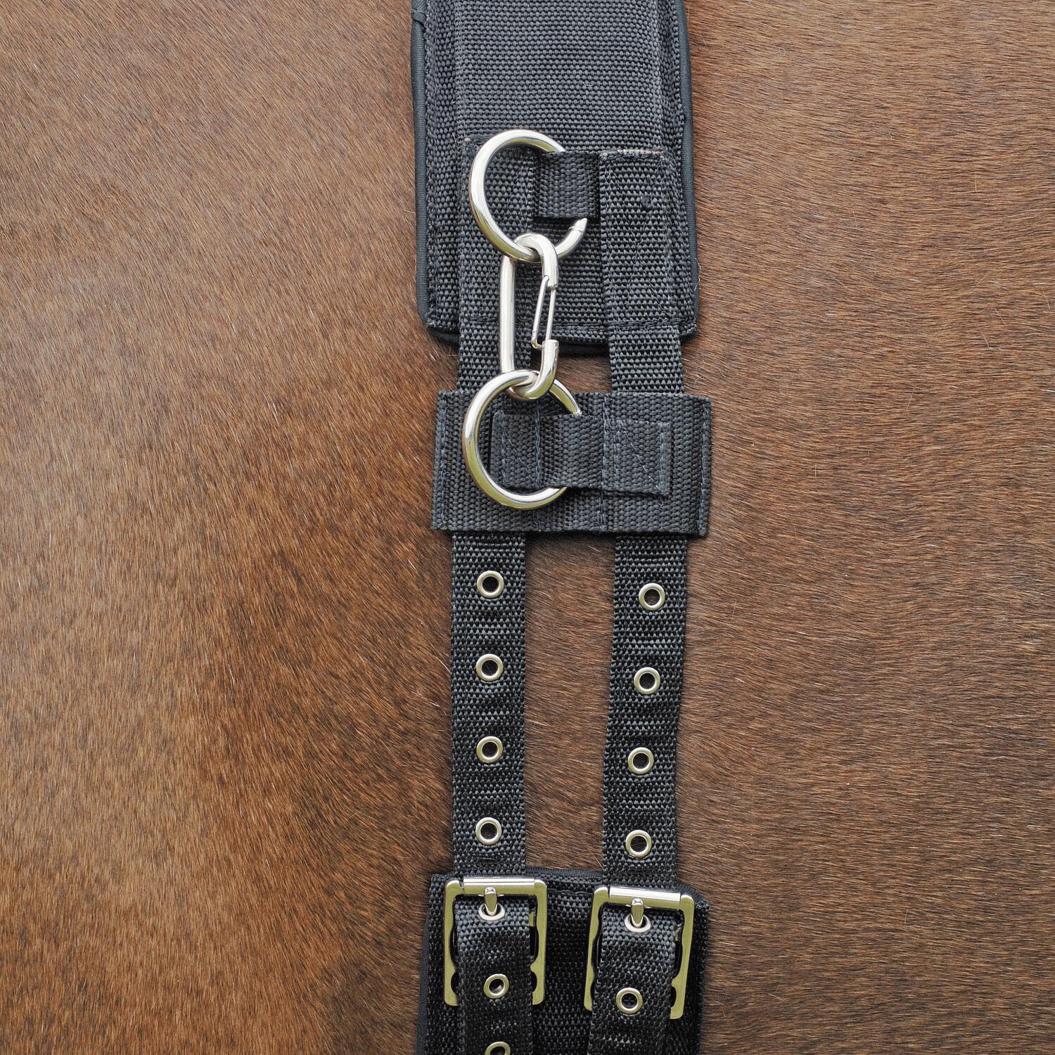 BUSSE LONGIERGURT PROFI-SOFT 2/3