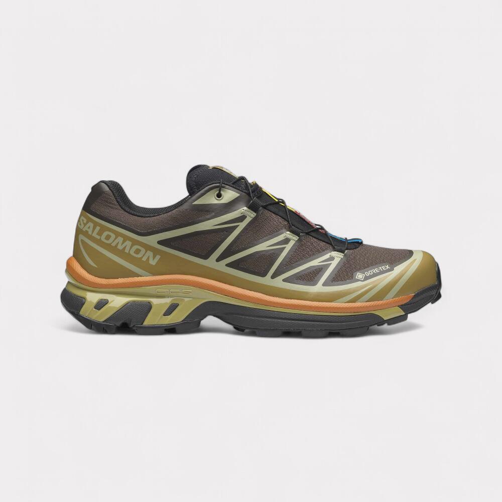 SALOMON picture
