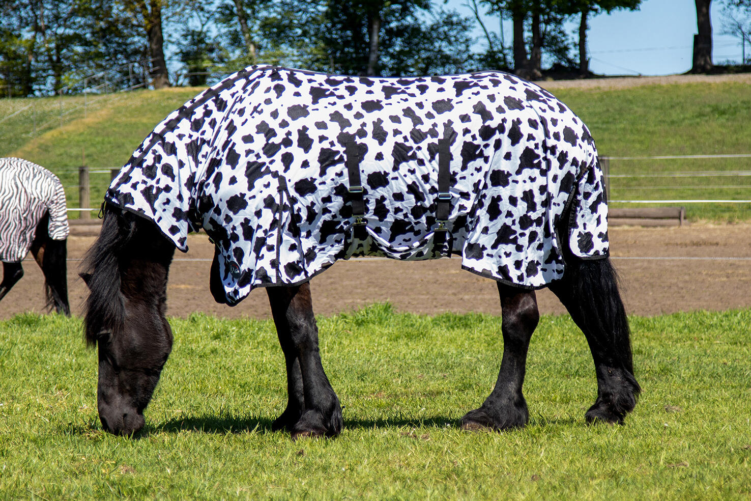COUVERTURE ANTI-MOUCHES HKM AVEC COL VACHE 4/4