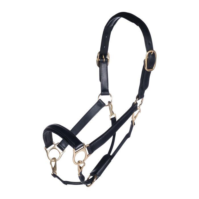 Leather Head Collar Gold Black