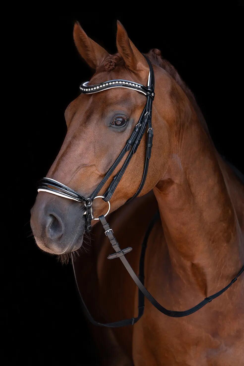 Bridon sans mors pour cheval HKM Carolin 3/5