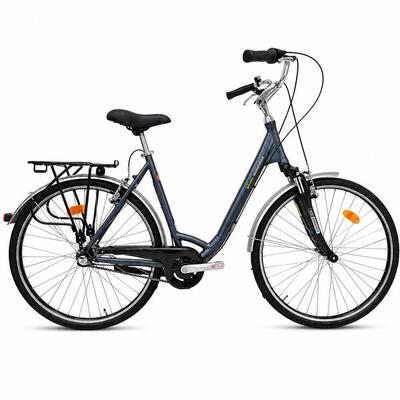 Refurbished Bicicletta da città Kieler 1252 - 28 pollici L grigia