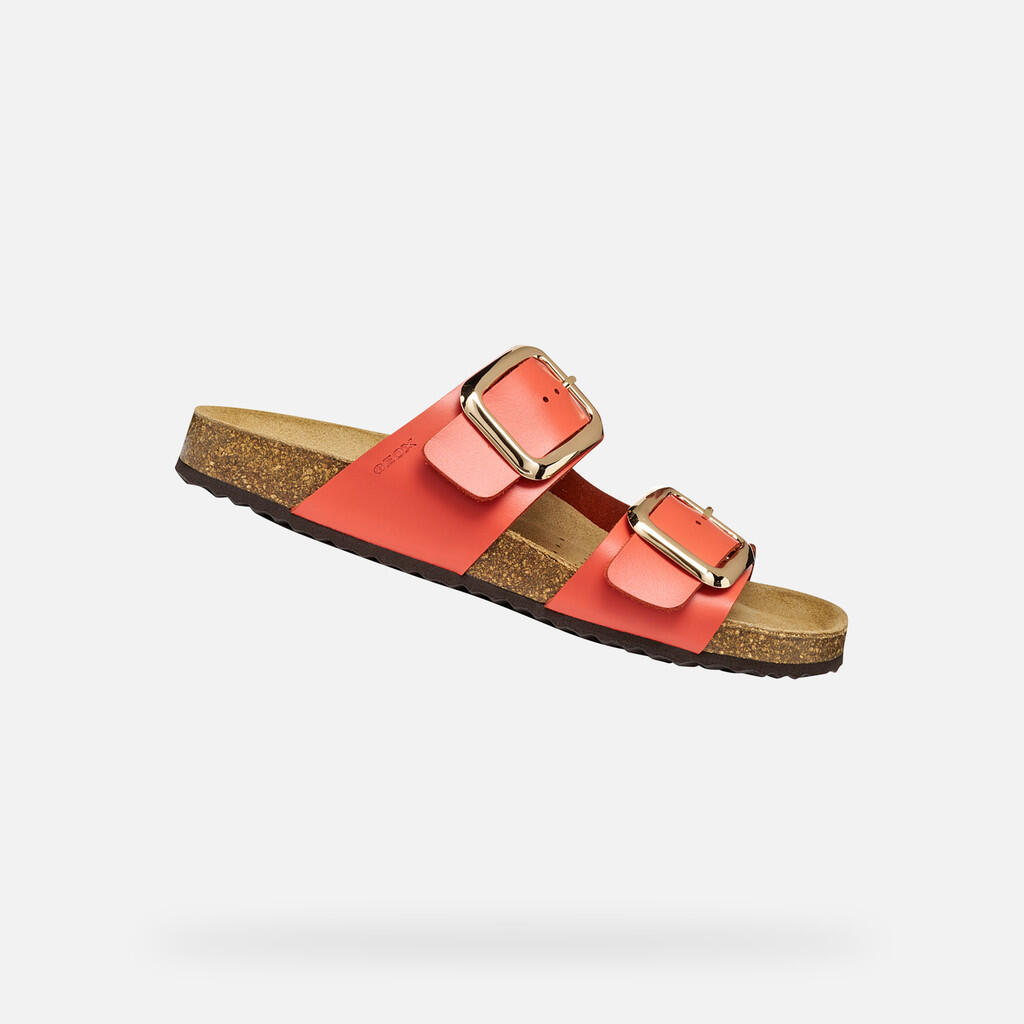multicolore