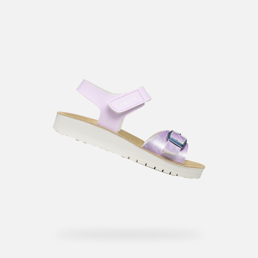 rose lilas