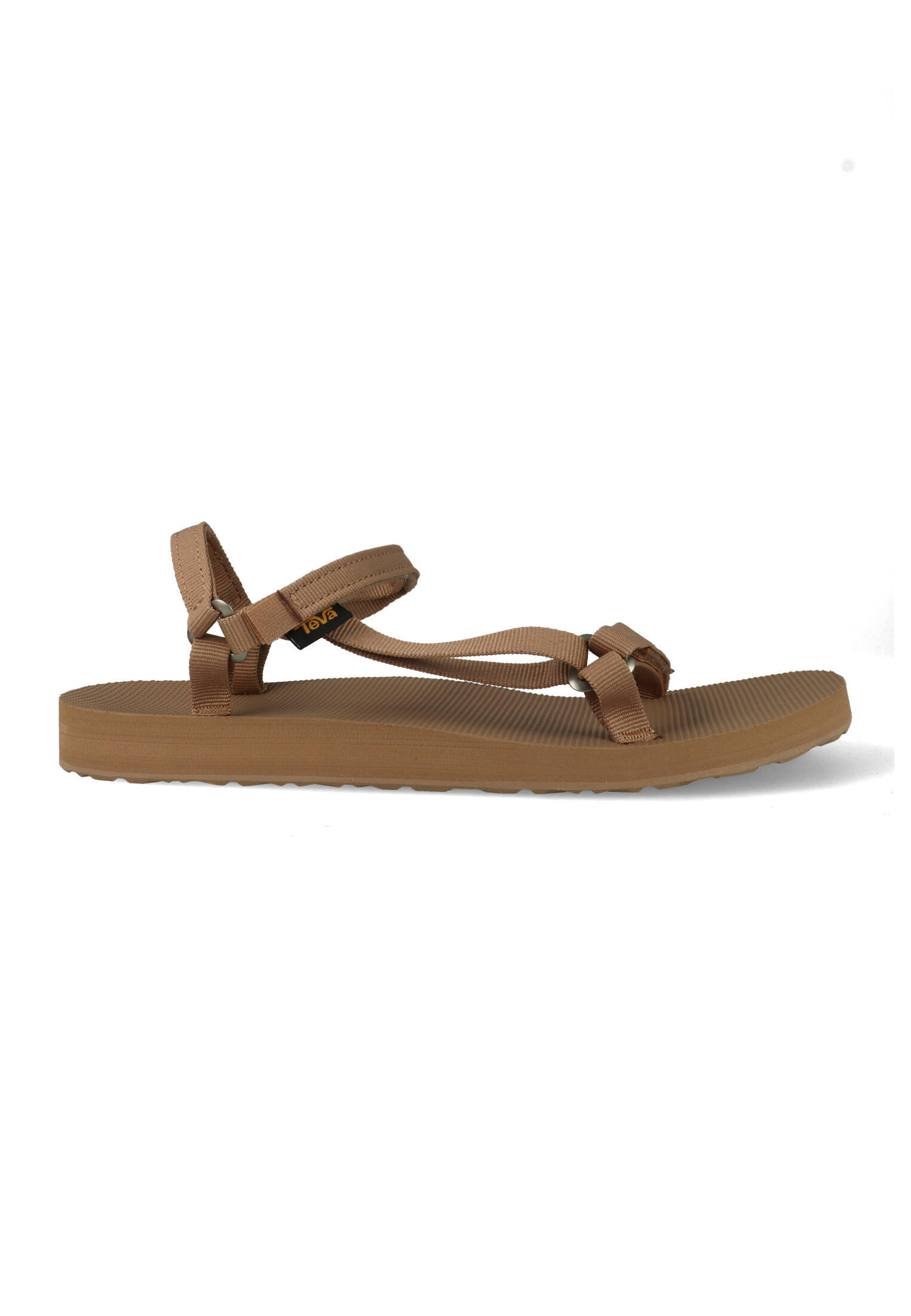 TEVA picture
