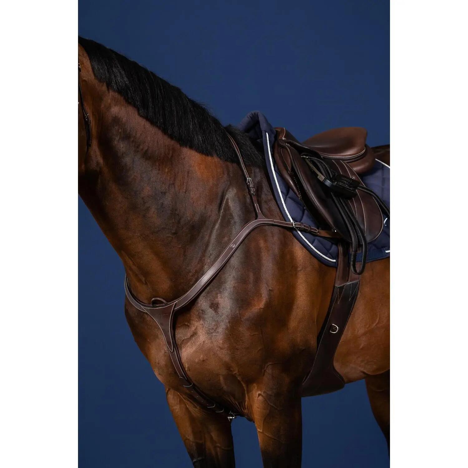 Collier de chasse pour cheval long pont Dy'on 2/2
