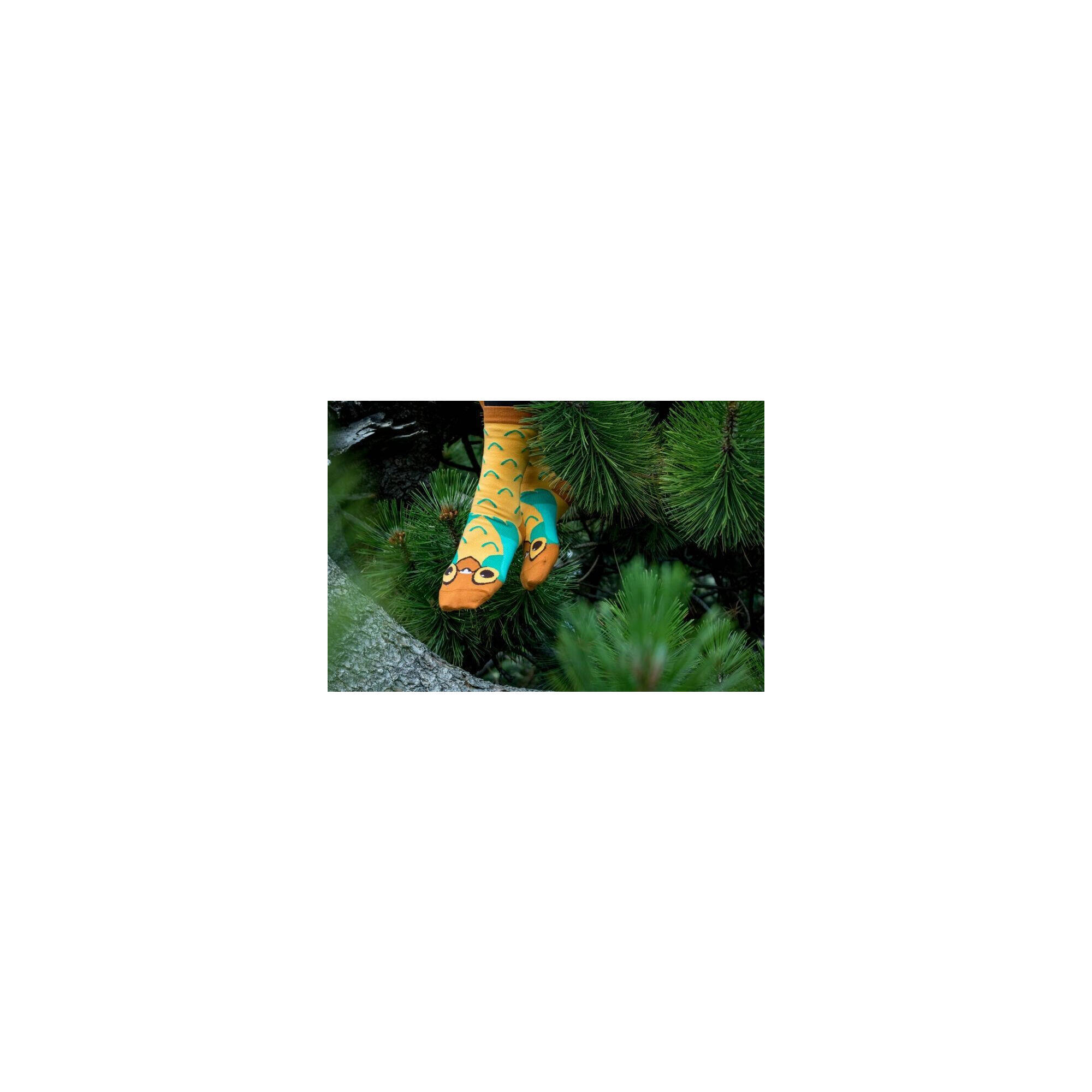 Sosete bumbac Jungle BOX, 4BUC.
