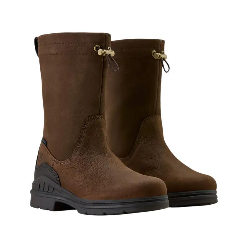 ARIAT picture